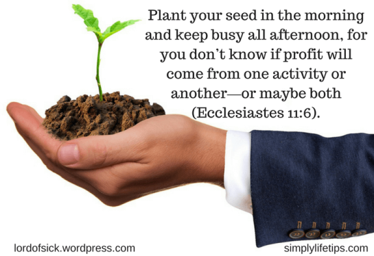 Plant your seed in the morning - Bible verses - Ecclesiastes 11:6
